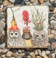 Load image into Gallery viewer, Travertine Tile Coasters (set of 4)
