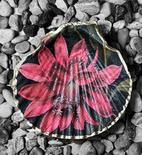 Load image into Gallery viewer, Handmade Scallop Shell Ring Dish
