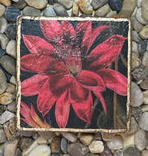 Load image into Gallery viewer, Travertine Tile Coasters (set of 4)
